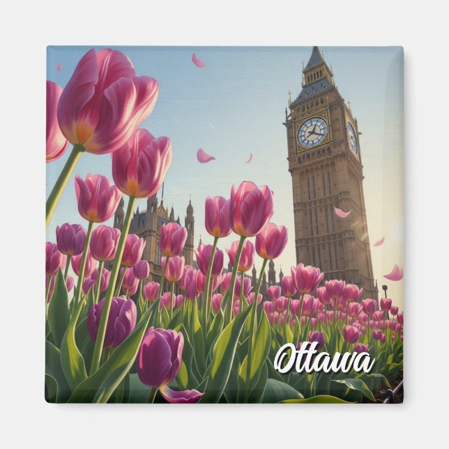 Imã Tulip Festival in Ottawa Canada Travel (Frente)