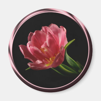 Imã Tulip No Magneto De Fotografia De Sangue Duplo Pri