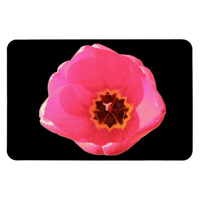 Ímã Tulip Rosa Premium Magnet (Horizontal)