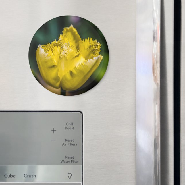 Imã Tulipa Amarela (In Situ (Fridge))