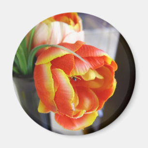 Imã Tulipa da Seda