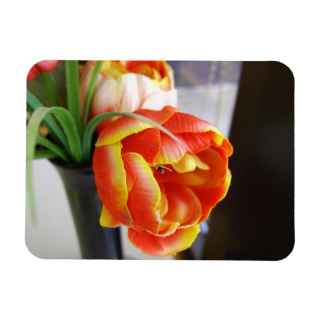 Ímã Tulipa da Seda (Horizontal)