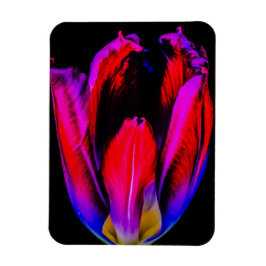 Ímã Tulipa Neon Glow