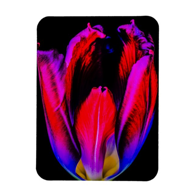 Ímã Tulipa Neon Glow (Vertical)