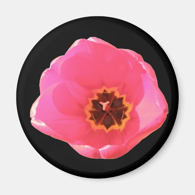 Imã Tulipa Rosa (Frente)