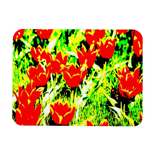 Ímã Tulipas (Horizontal)