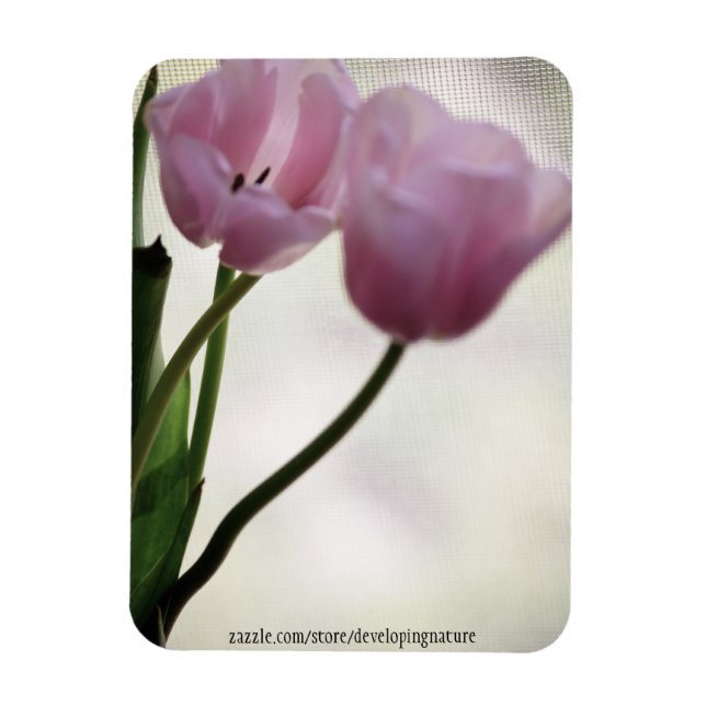 Ímã Tulipas 3265 (Vertical)
