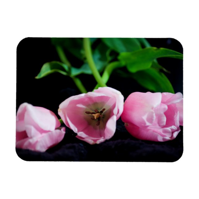 Ímã Tulipas 3273 (Horizontal)