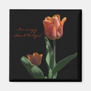 Imã "Tulipas alaranjadas "