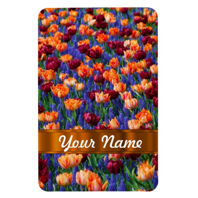 Ímã Tulipas coloridas (Vertical)