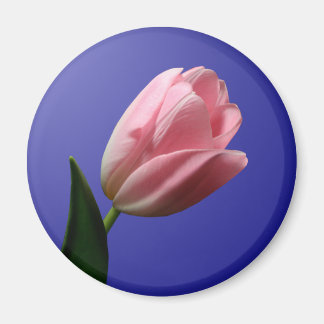 Imã Tulipas de Casamento da primavera