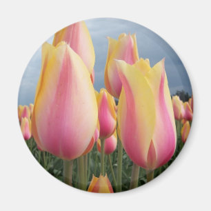 Imã Tulipas de cora da beleza