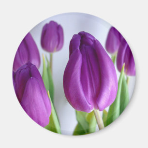 Imã Tulipas de lavanda
