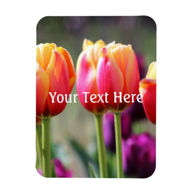 Ímã Tulipas de queda Achama (Vertical)