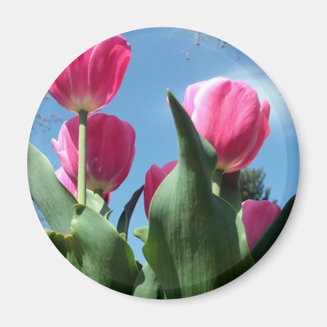 Imã Tulipas de torre (Frente)