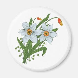 Imã Tulipas e Flores de Narcisos
