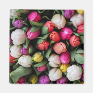 Imã Tulipas Flores Coloridas Páscoa