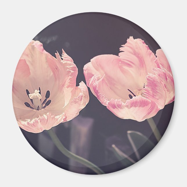 Imã Tulipas Lindas em Flor - Personalizado (Frente)