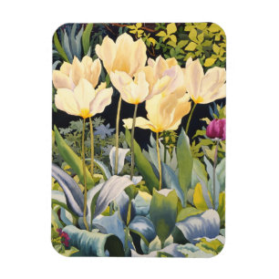 Ímã Tulipas pálidas