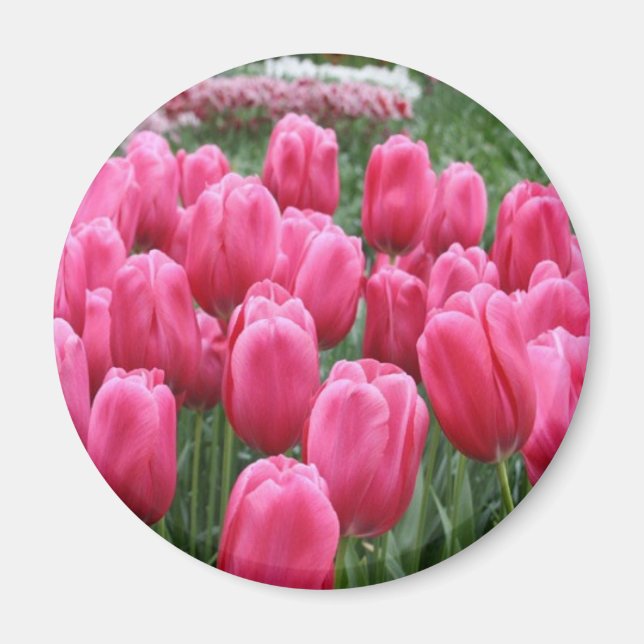 Imã Tulipas Rosa (Frente)