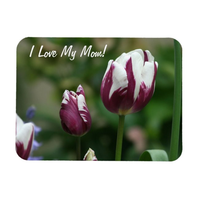 Ímã Tulipas Roxas Mãe (Horizontal)