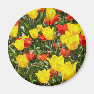 Imã Tulipas Vermelhas e Amarelas