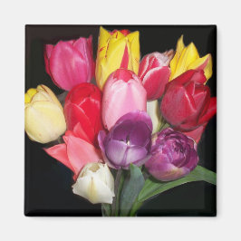 Imã Tulips diz tudo