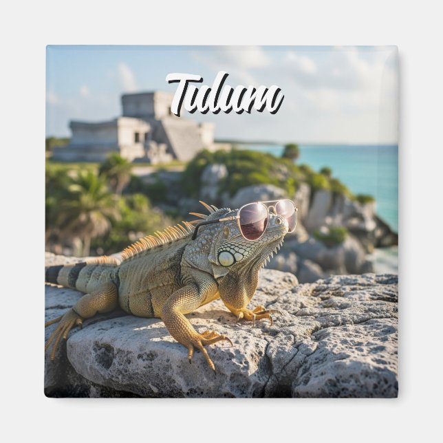 Imã Tulum Mexico Viagem Iguana (Frente)