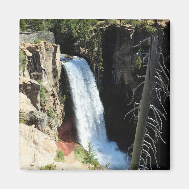 Imã Tumalo Falls, Bend, Oregon (Frente)