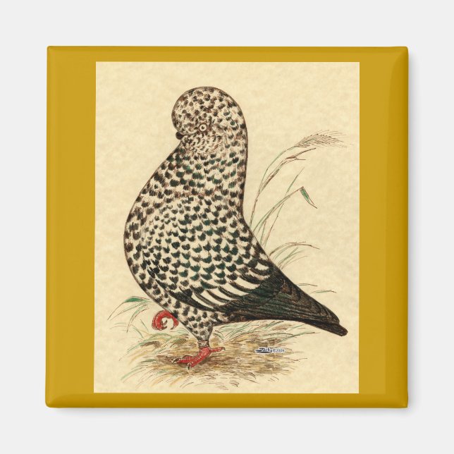 Imã Tumbler Pigeon LFCL Splash (Frente)