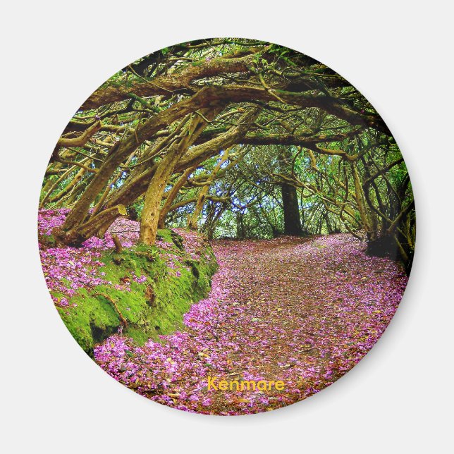 Imã Túnel de fada, Kenmare (Frente)