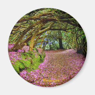 Imã Túnel feericamente, Kenmare