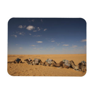 Ímã Tunísia, Área Ksour, Ksar Ghilane, Grand Erg 2