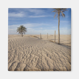Imã Tunísia, Deserto do Saara, Douz, Grande Duna, aman