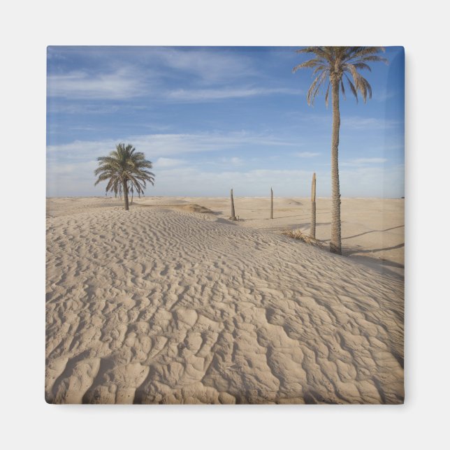 Imã Tunísia, Deserto do Saara, Douz, Grande Duna, aman (Frente)