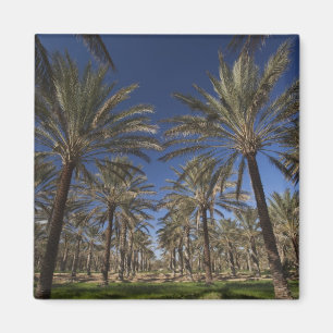 Imã Tunísia, Deserto do Saara, Douz, Zone Touristique