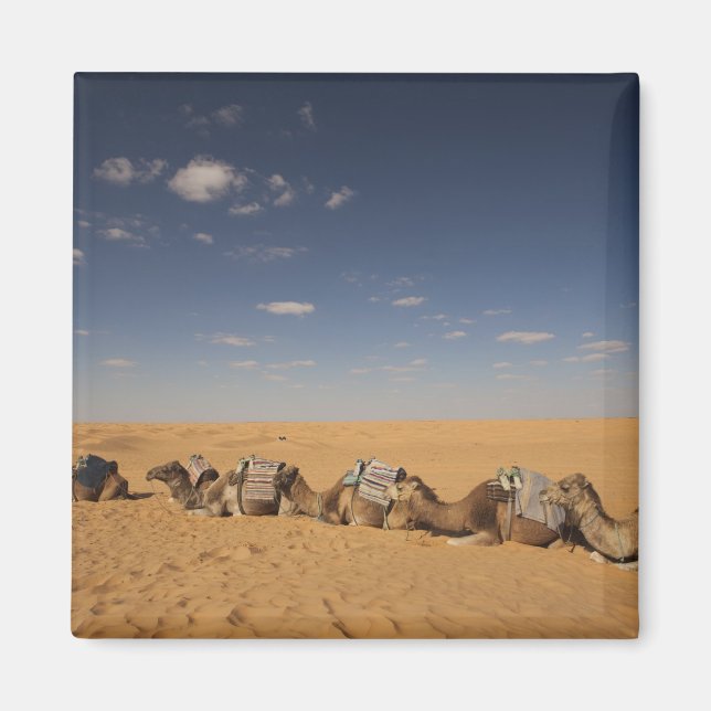 Imã Tunísia, Zona de Ksour, Ksar Ghilane, Grande Erg 2 (Frente)