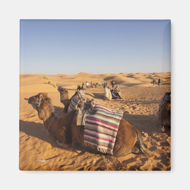 Imã Tunísia, Zona de Ksour, Ksar Ghilane, Grande Erg 3 (Frente)