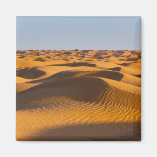 Imã Tunísia, Zona de Ksour, Ksar Ghilane, Grande Erg 4