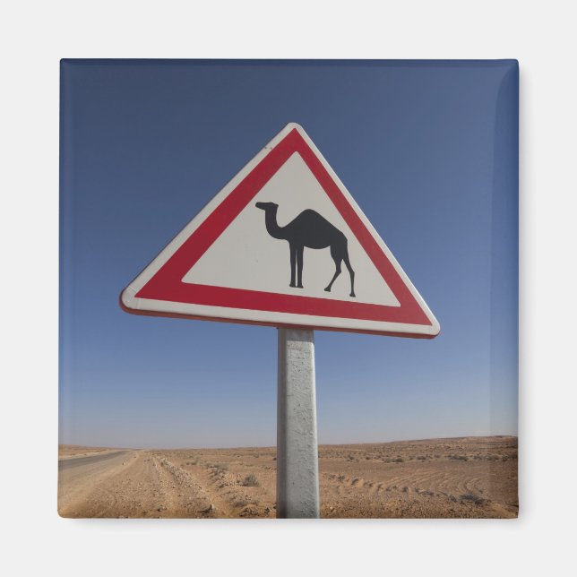 Imã Tunísia, Zona de Ksour, Ksar Ghilane, Grande Erg 6 (Frente)