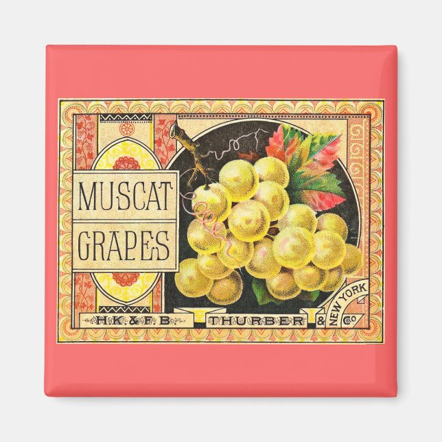 Imã Turber Muscat Graphics - Rótulo de Taxa de Vintage (Frente)
