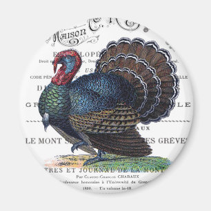 Imã Turca vintage moderna