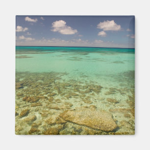 Imã Turcas e Caicos, Ilha Grand Turk, Cockburn 2