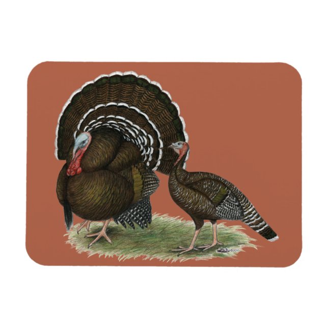 Ímã Turkey Standard Bronze (Horizontal)