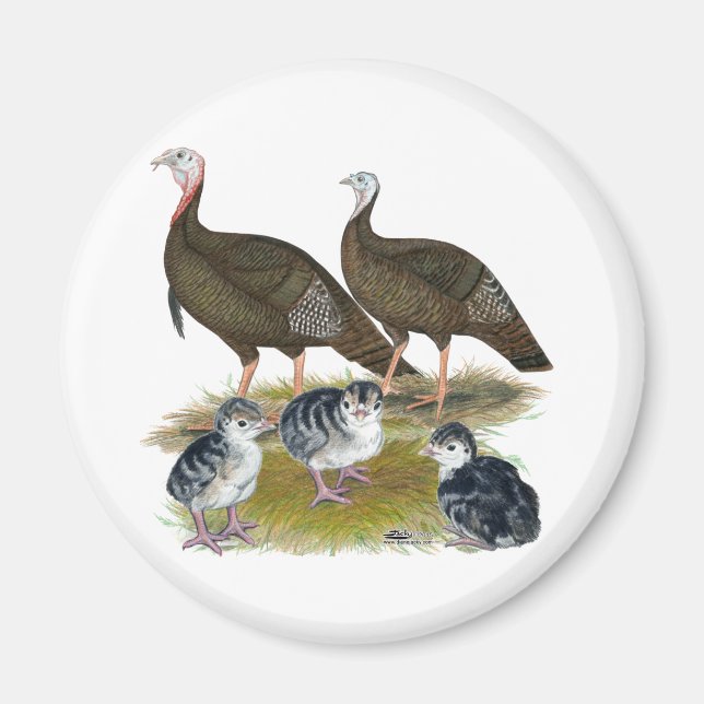 Imã Turkeys East Wild Family (Frente)