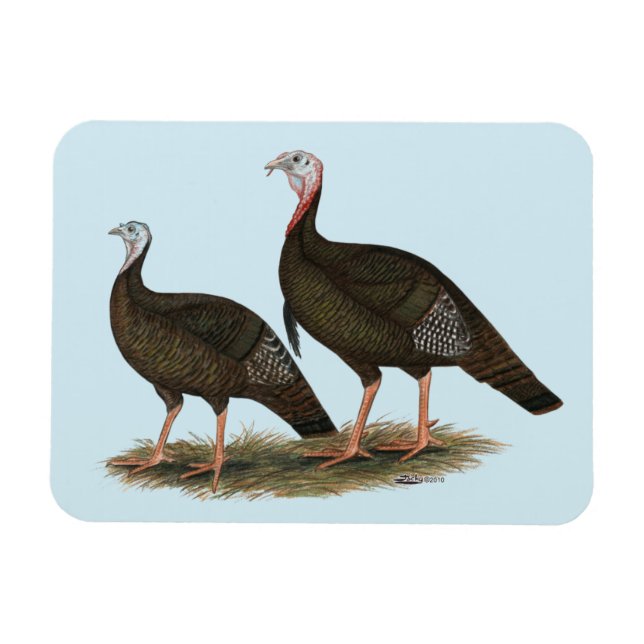 Ímã Turkeys East Wild Pair (Horizontal)