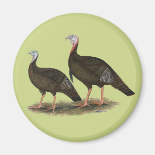 Imã Turkeys East Wild Pair