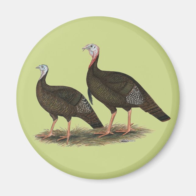 Imã Turkeys East Wild Pair (Frente)