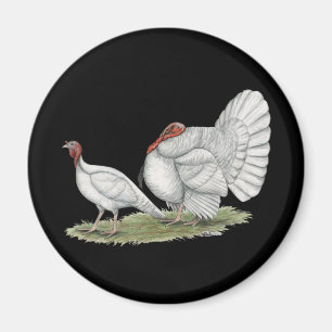 Imã Turkeys White Hollands
