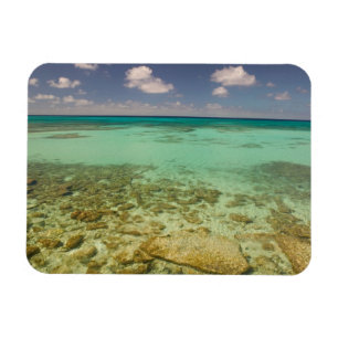 Ímã Turks e Caicos, Ilha Grand Turk, Cockburn 2